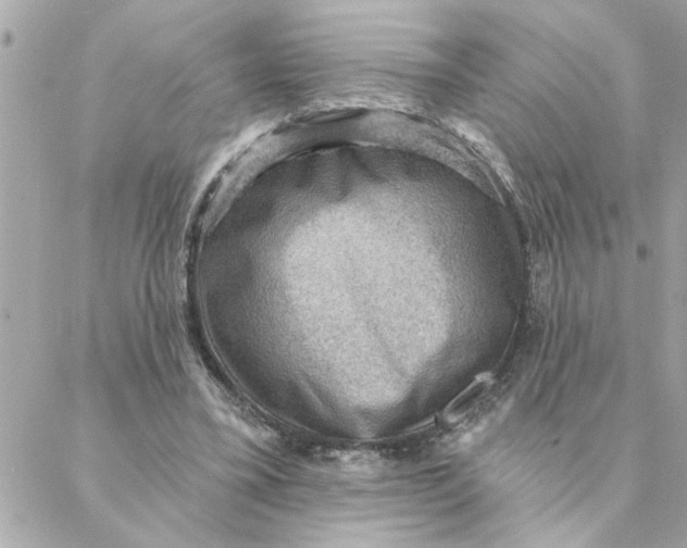 X0000088160395200706051056