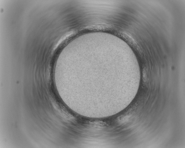 X0000088160396200706051056