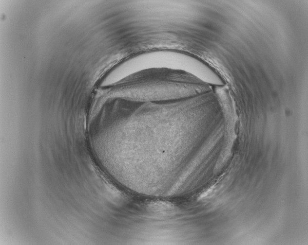 X0000088160397200706051056