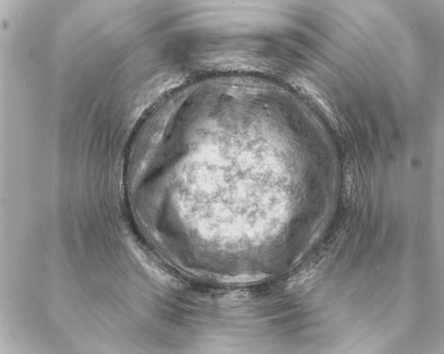 X0000088160398200706051056