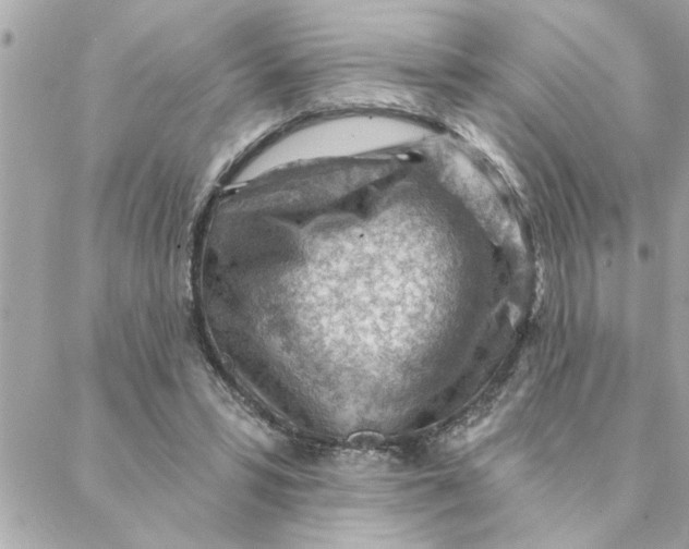 X0000088160399200706051056