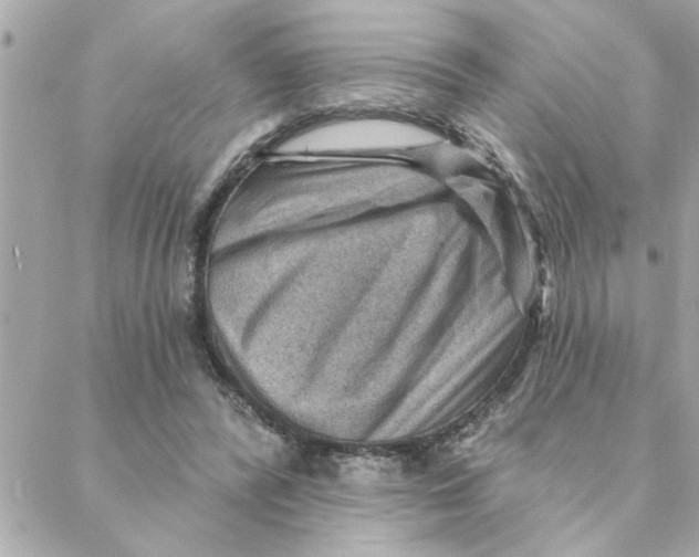 X0000088160400200706051056