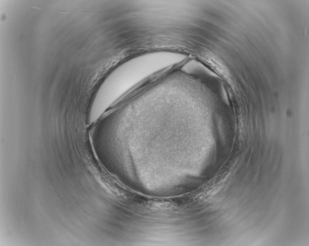 X0000088160401200706051056