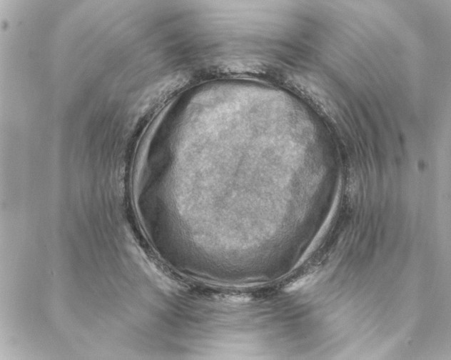 X0000088160402200706051056