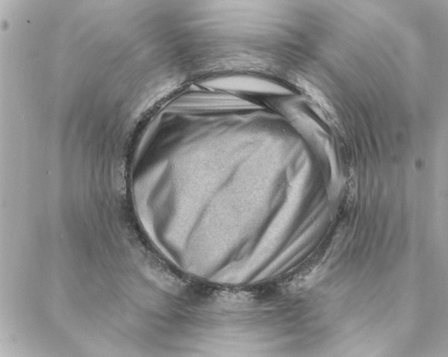 X0000088160403200706051056