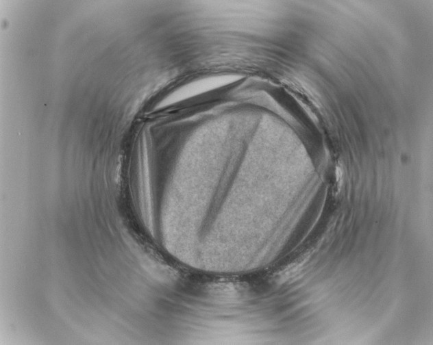 X0000088160404200706051056