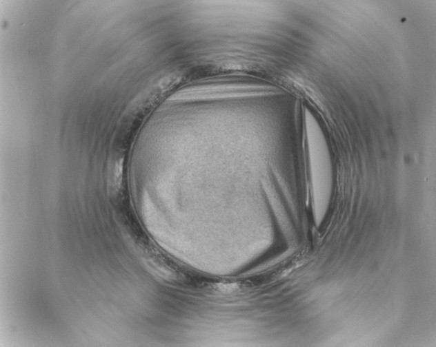 X0000088160406200706051056