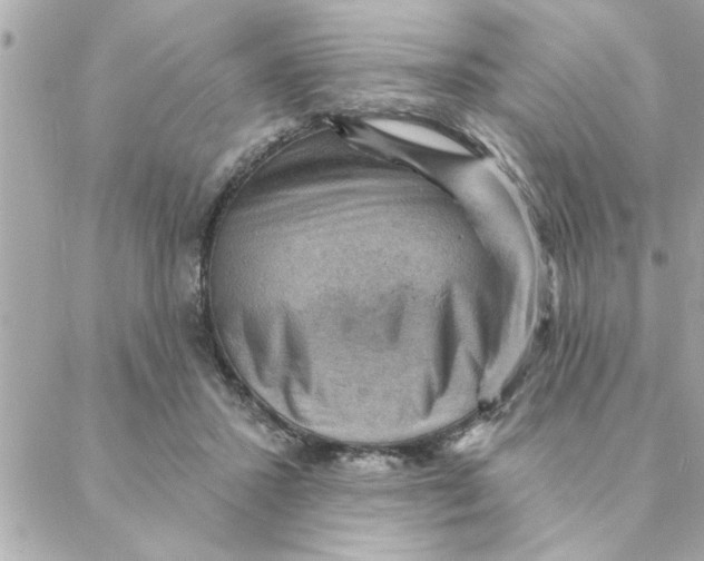 X0000088160407200706051056