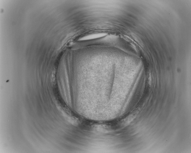 X0000088160408200706051056