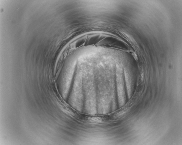 X0000088160409200706051056