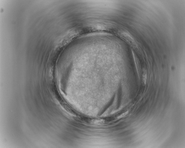 X0000088160410200706051056