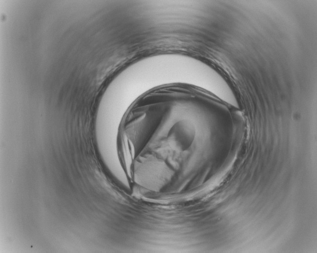 X0000088160411200706051056