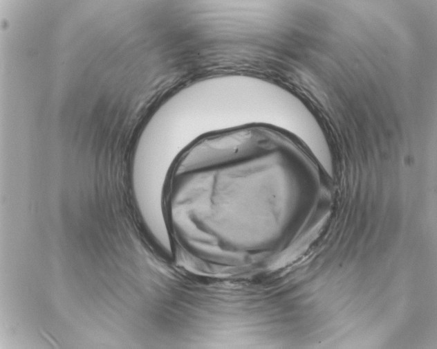 X0000088160412200706051056