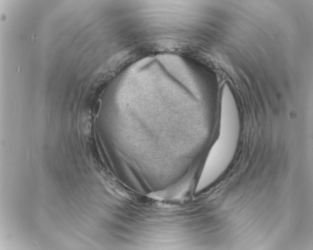 X0000088160413200706051056