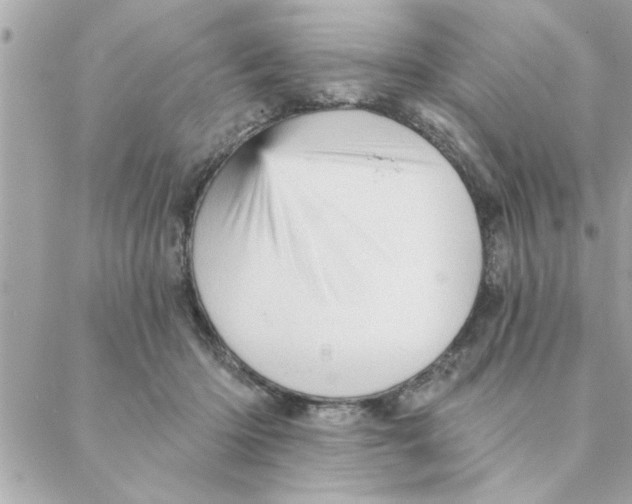 X0000088160414200706051056