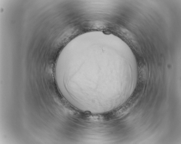 X0000088160415200706051056