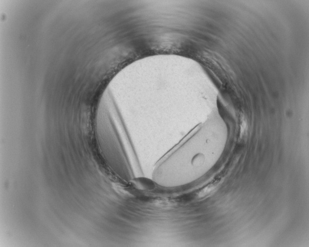 X0000088160416200706051056