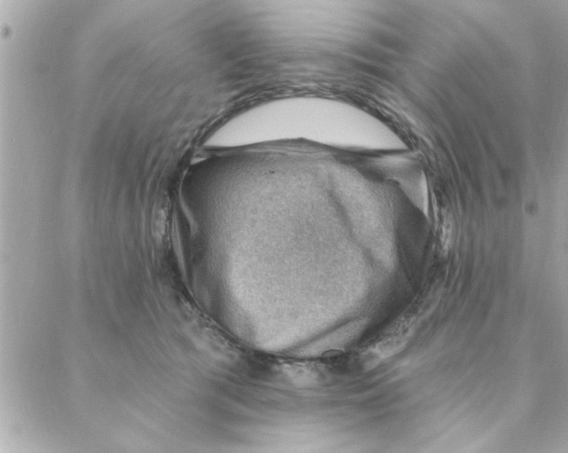 X0000088160417200706051056