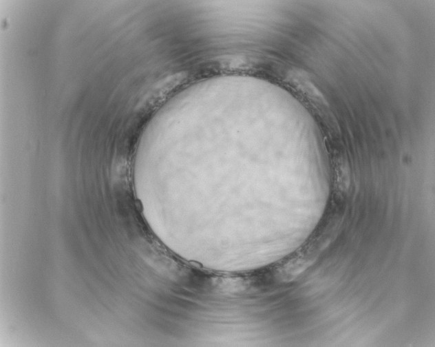 X0000088160419200706051056