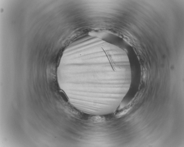 X0000088160421200706051056