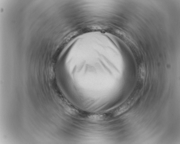 X0000088160422200706051056