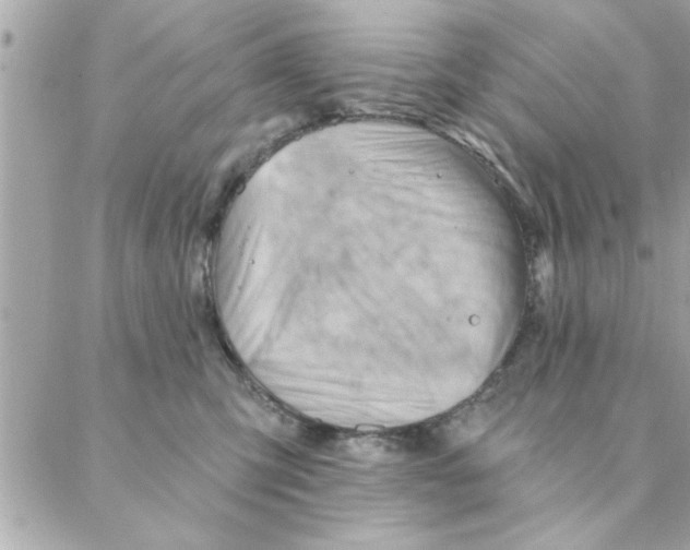 X0000088160423200706051056