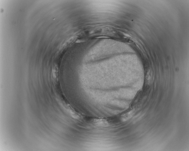 X0000088160424200706051056