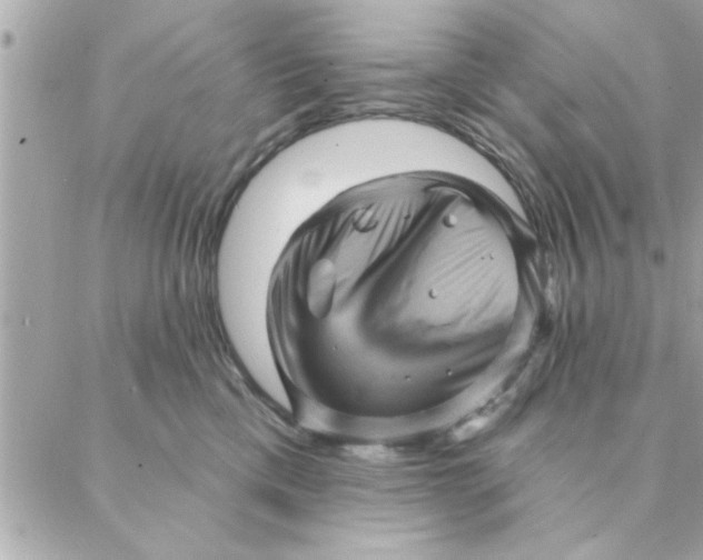 X0000088160425200706051056