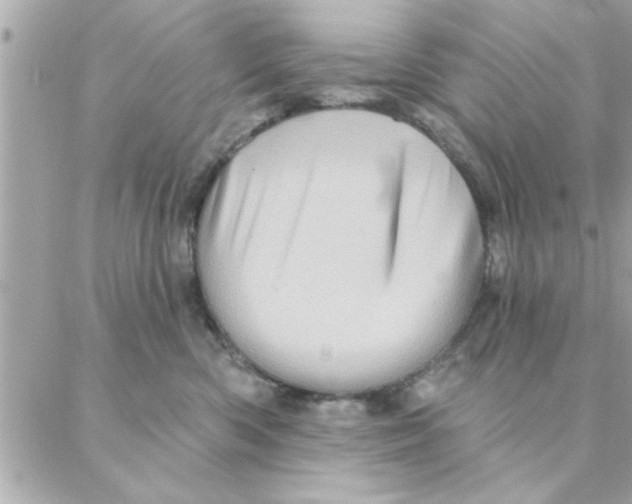 X0000088160426200706051056