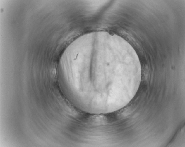 X0000088160427200706051056