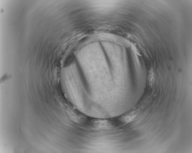 X0000088160428200706051056