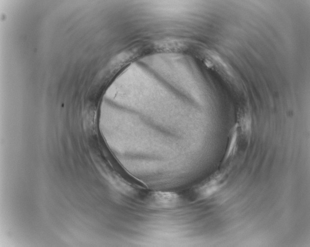 X0000088160429200706051056