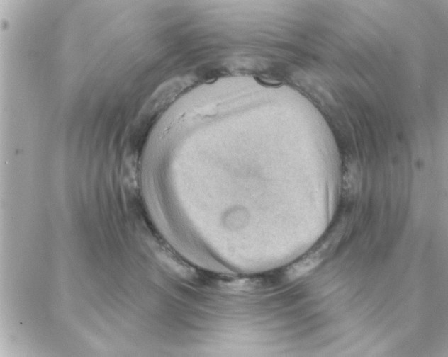 X0000088160430200706051056