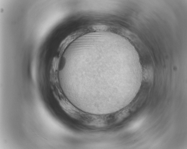 X0000088160431200706051056