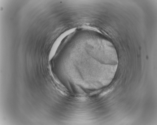 X0000088160432200706051056