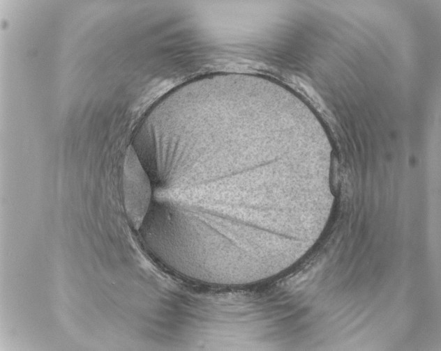 X0000088160433200706051055