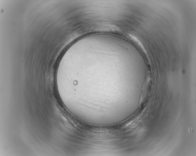 X0000088160435200706051055