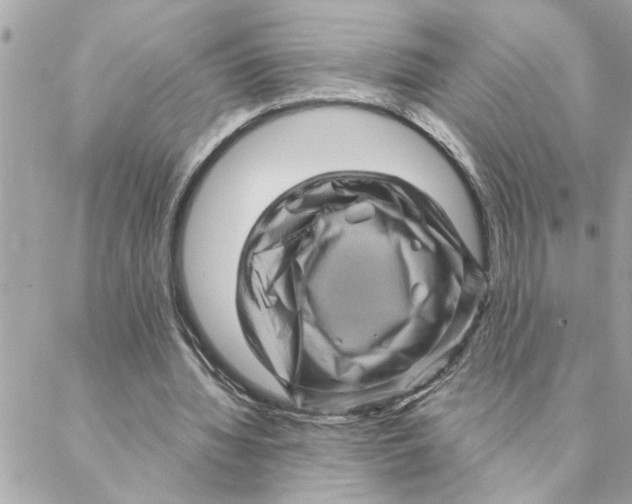 X0000088160436200706051055