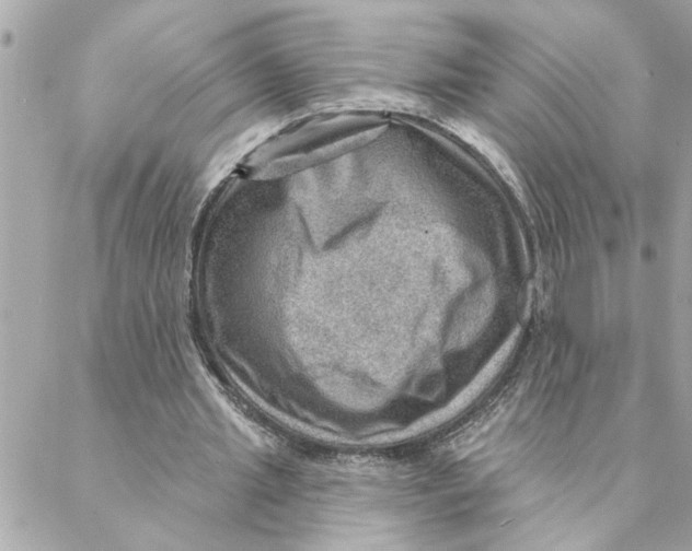 X0000088160437200706051055