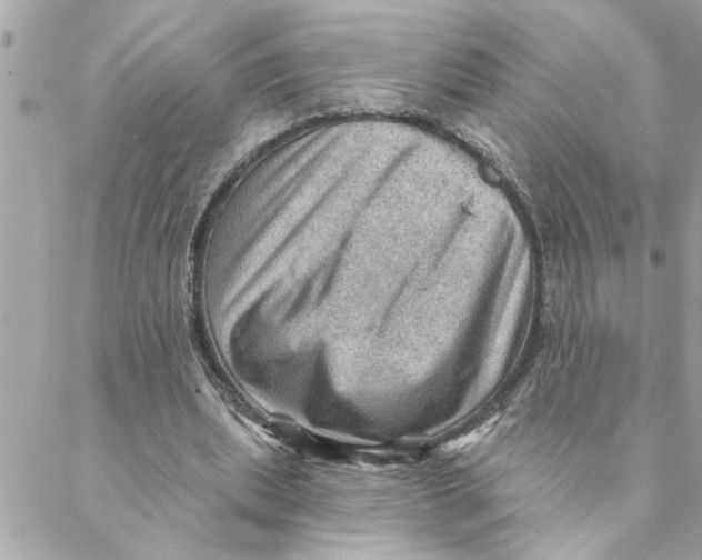 X0000088160439200706051055