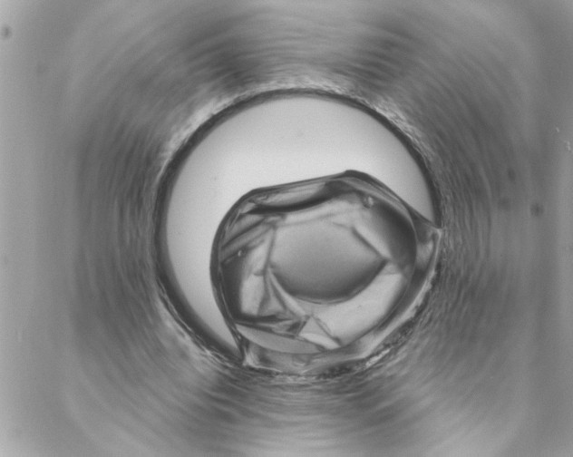 X0000088160440200706051055