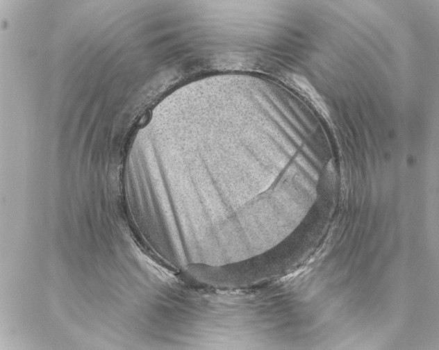 X0000088160441200706051055