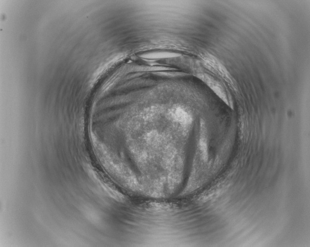 X0000088160442200706051055