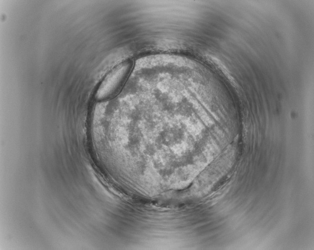 X0000088160443200706051055