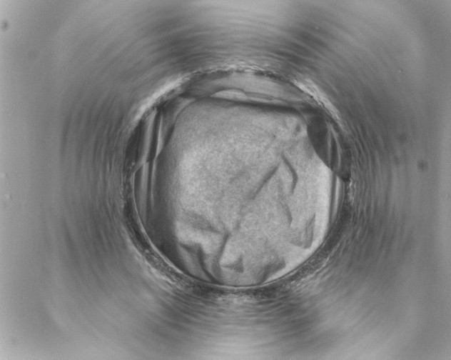 X0000088160444200706051055