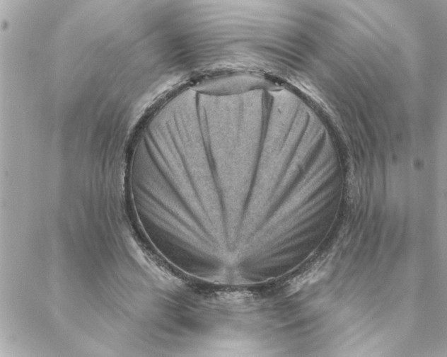 X0000088160446200706051055