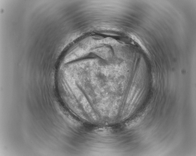 X0000088160447200706051055