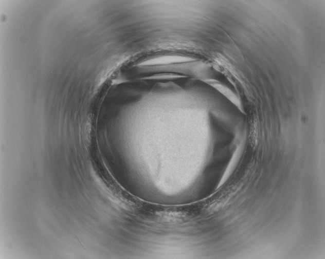 X0000088160448200706051055