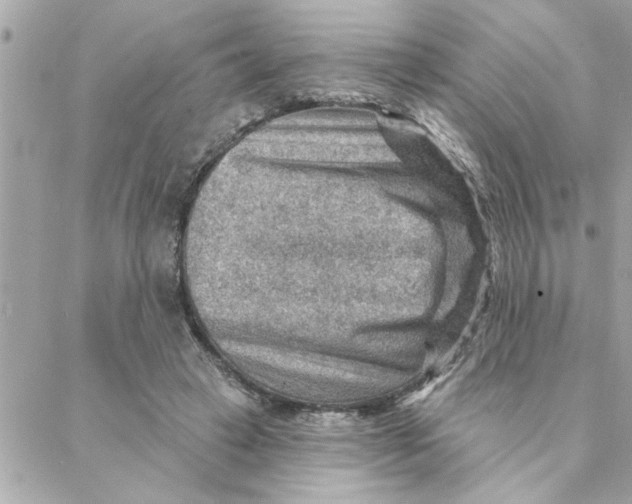 X0000088160449200706051055