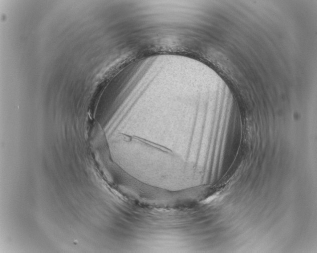 X0000088160450200706051055